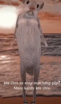 𝙱𝚞𝚖 𝚋𝚞𝚖