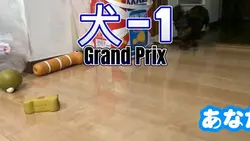 犬のスピード