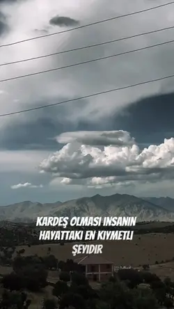Yeni şablon 