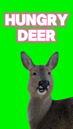 SLOPPY EATING DEER