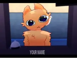 Animal Hospital😽