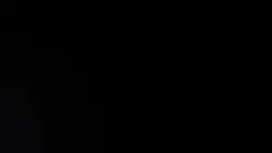 41 Ảnh