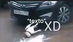 XD