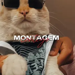 montagem contigo 