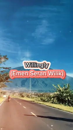 Willingly