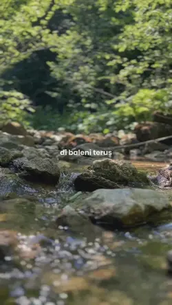 Di baleni terus dong