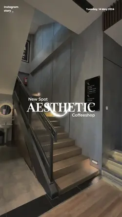 Teamplate Aesthetic