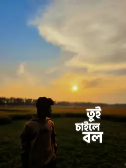 তোর বায়না সব 
