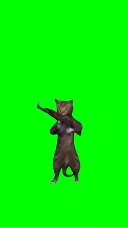 meme gatto 🔫 