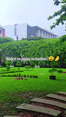 Nature View