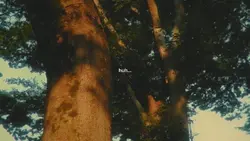 huh