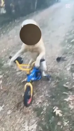 aklımı aldı gitti