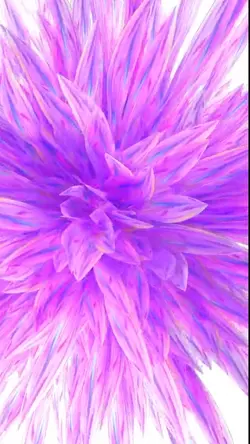 flowers portrait ¹⁹