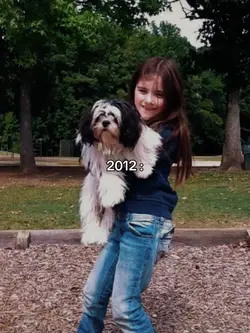 2012 vs 2025 