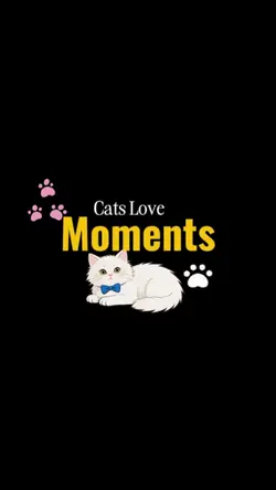 Cats love moments