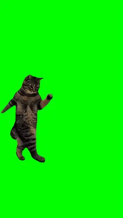 SUPER MARIO CAT MEME