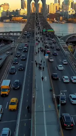 citylife cinematic