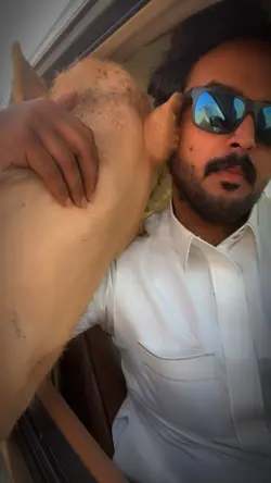 أبا الجلادا 