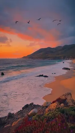 sunset aesthetic 