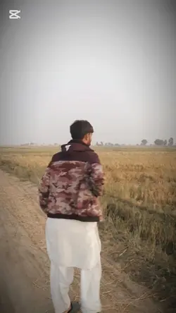 Sindhi Template Song