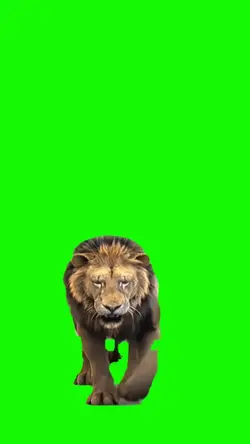 FOTBAR SINGA 