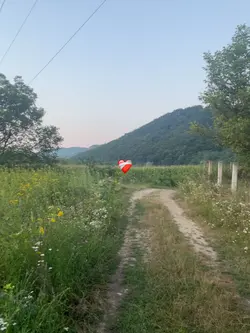🇷🇴