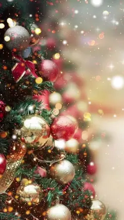 クリスマスの思い出