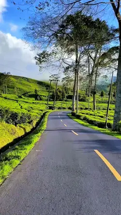 3 video HD travel
