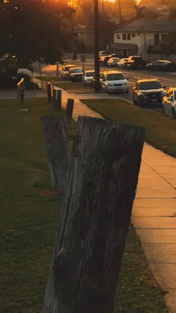vibes cinematic