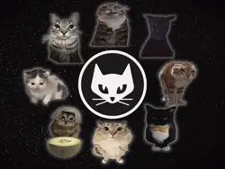 Cat free edit 