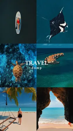Travel dump