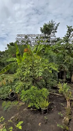 Bahan Story