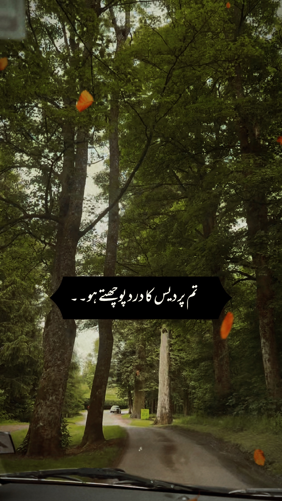 Sad Shayari Templates - Pippit