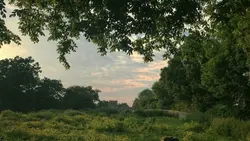 1 foto landscape