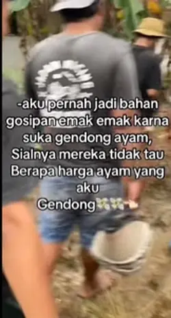 hoby ayam story