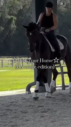 Pick your horse 