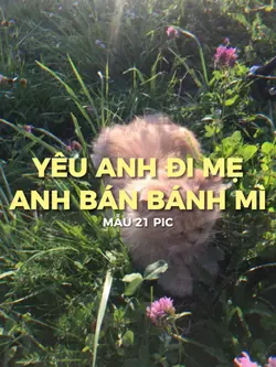 [21] Anh Muốn Một