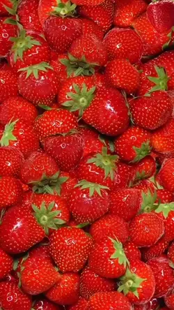 Morango do amor 