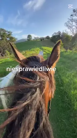 niesprawiedliwie