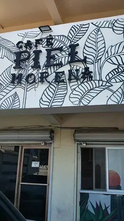 Visita a un café 
