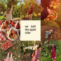 apple cider