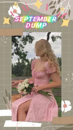 aesthetic sept dump