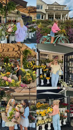 Hello Spring
