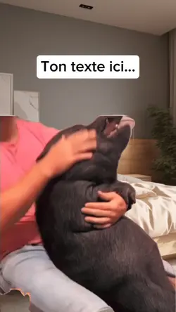 Sanglier en PLS