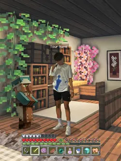 Minecraft edit