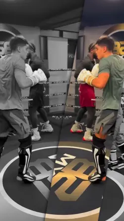Train Boxing 