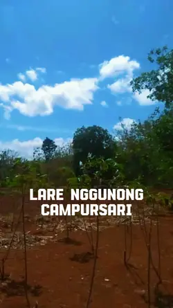 Lare nggunong