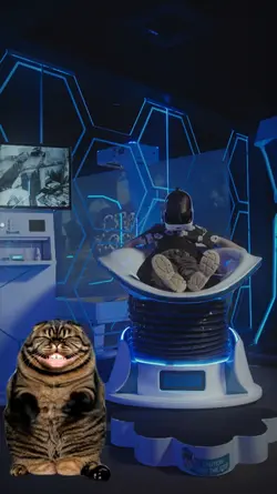 Chat bizarre Joyeux 