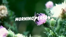 16:9 Simple vlog