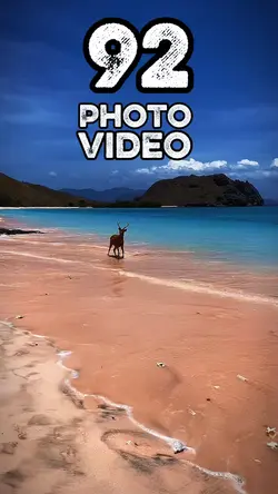 92 clip or photo 